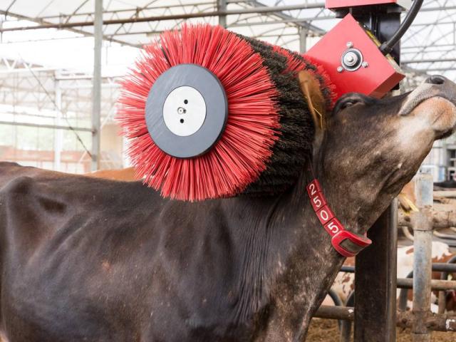 Lely Luna Bodegraven 30 0877.jpg 1200x630 Q70 Crop Subsampling 2 Upscale