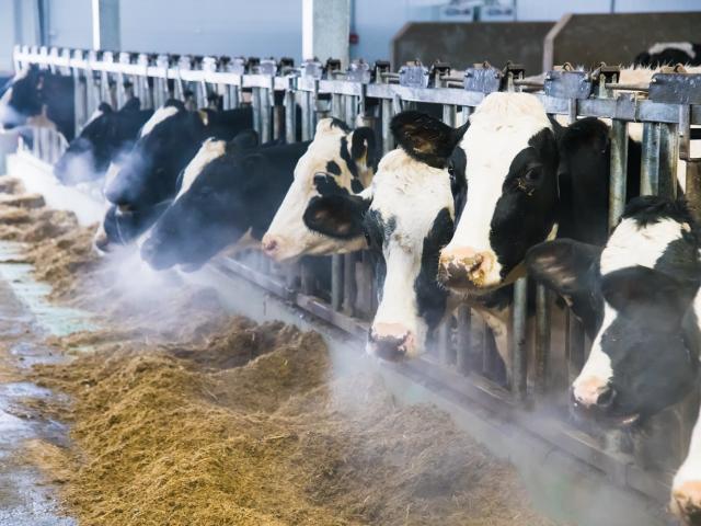 Mikroklimat W Oborze Zima