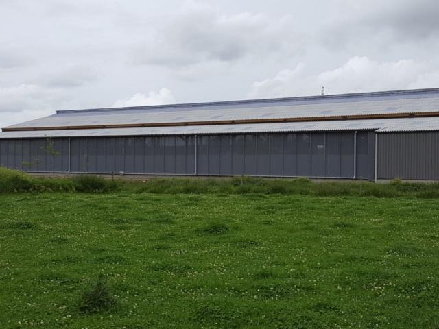 Zrzut Ekranu 2022 04 21 085947